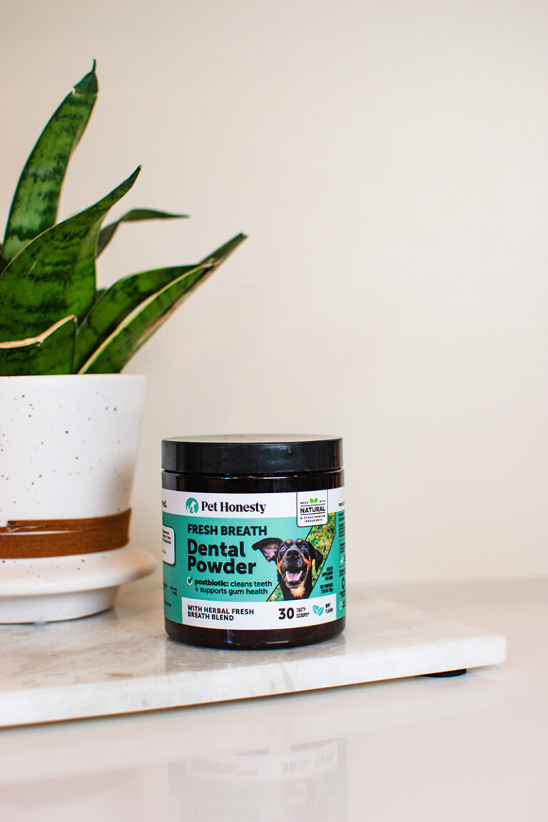 Pet Honesty launches powdered dental supplement