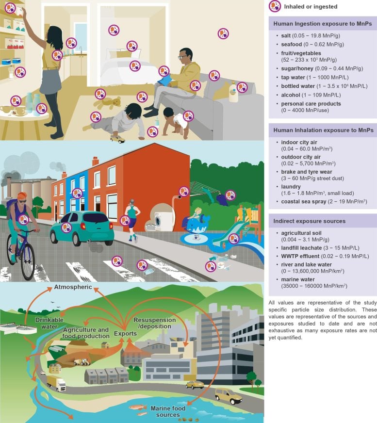 Environmental Exposure Routes, Transport, and Sources of MnPs Environmental Exposure Routes and Sources of MnPs in Indoor and Outdoor Environments